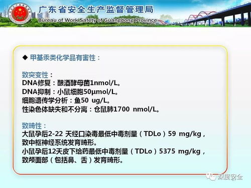 工貿企業(yè)危險化學品安全管理實務指南